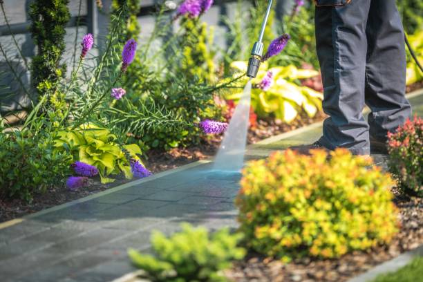 Best Pool Deck Cleaning  in Kansas City, KS